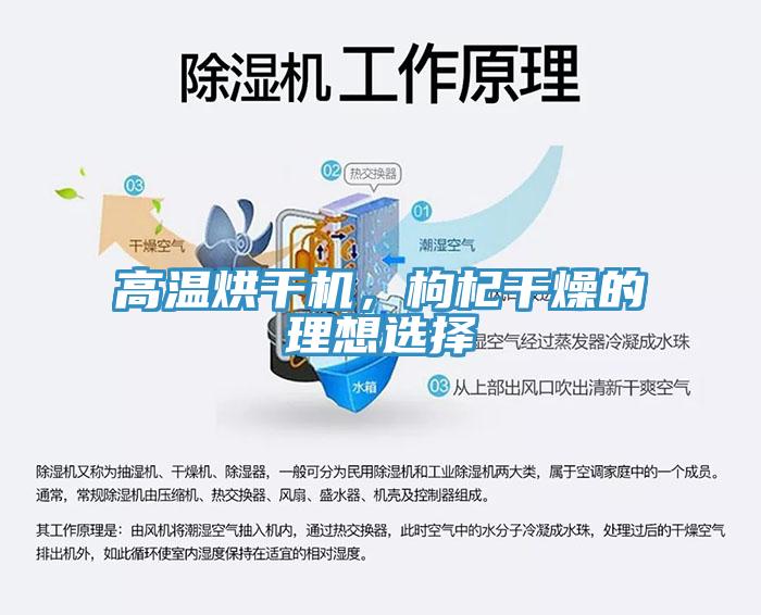 高溫烘干機，枸杞干燥的理想選擇