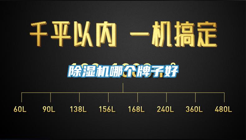 除濕機哪個牌子好