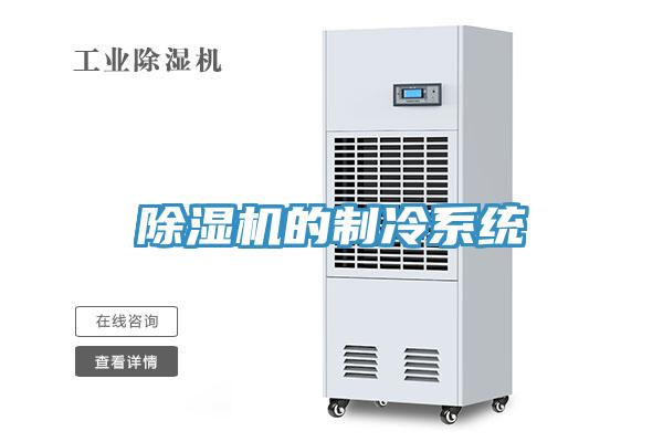 除濕機的制冷系統(tǒng)