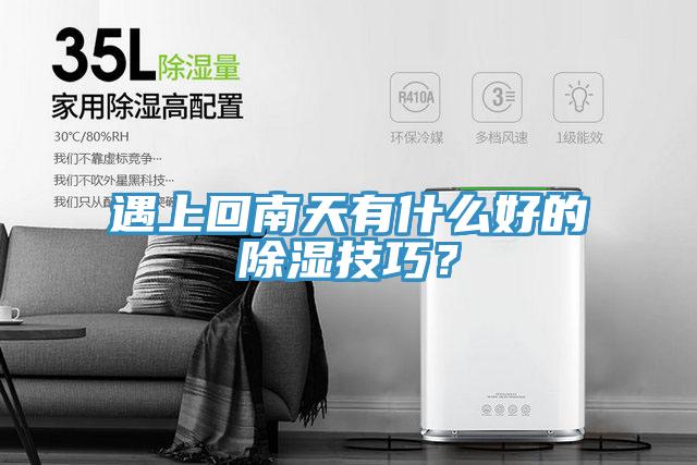 遇上回南天有什么好的除濕技巧？