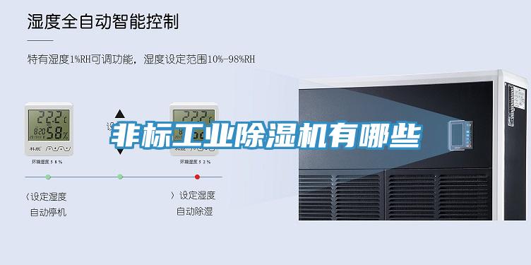 非標(biāo)工業(yè)除濕機有哪些