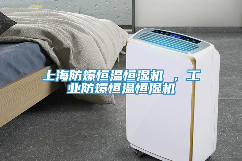 上海防爆恒溫恒濕機(jī) ，工業(yè)防爆恒溫恒濕機(jī)