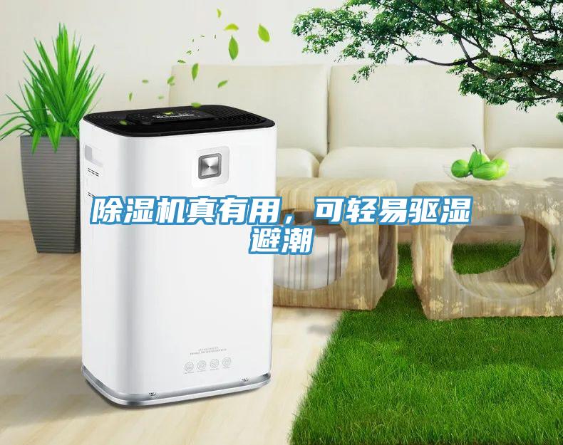 除濕機(jī)真有用，可輕易驅(qū)濕避潮