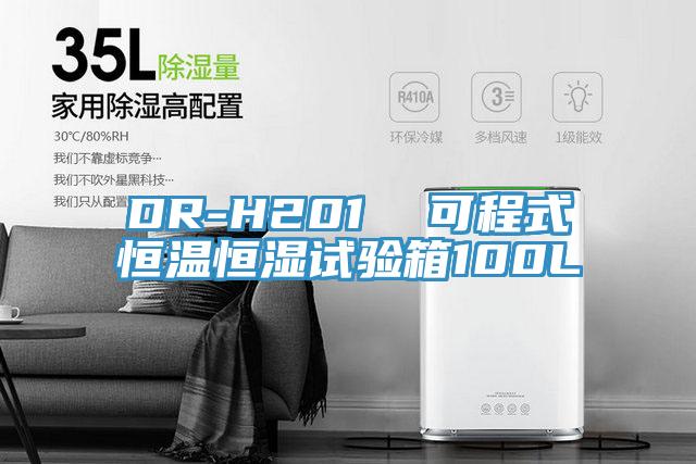 DR-H201  可程式恒溫恒濕試驗(yàn)箱100L