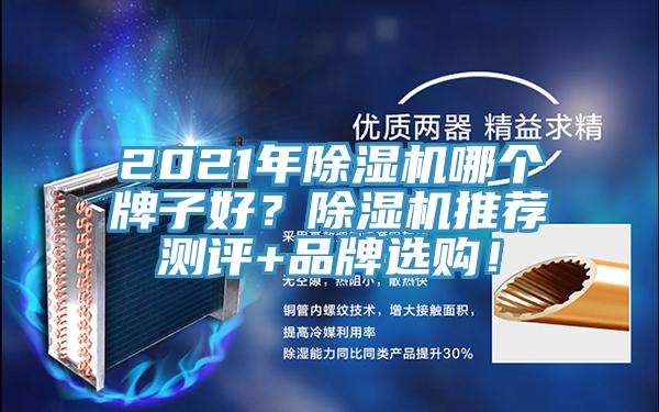 2021年除濕機哪個牌子好？除濕機推薦測評+品牌選購！