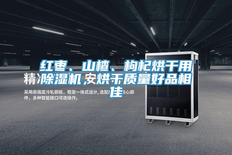 紅棗、山楂、枸杞烘干用除濕機，烘干質(zhì)量好品相佳