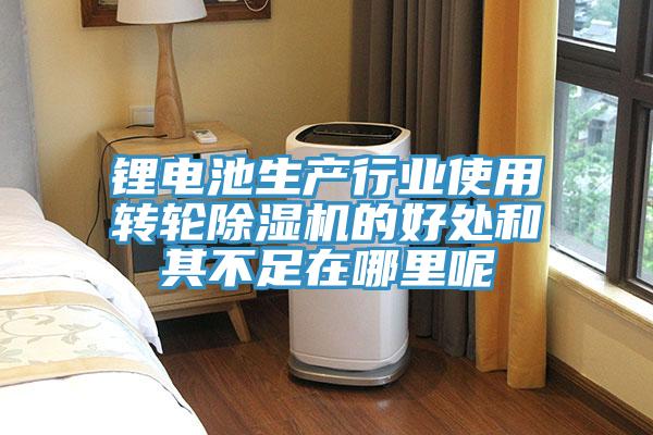 鋰電池生產(chǎn)行業(yè)使用轉(zhuǎn)輪除濕機(jī)的好處和其不足在哪里呢