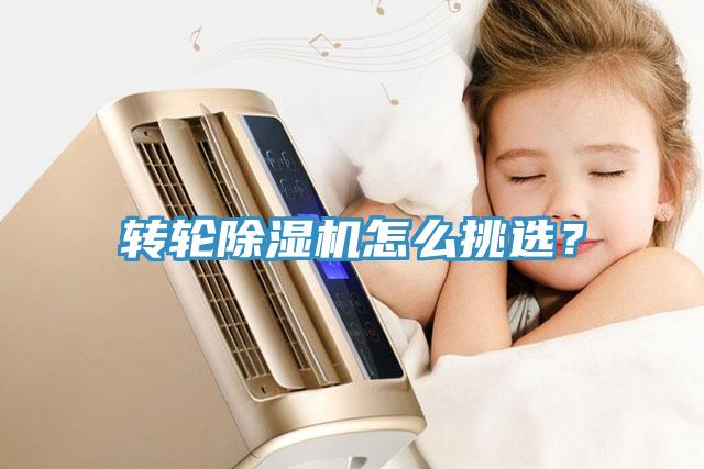 轉(zhuǎn)輪除濕機怎么挑選？