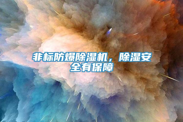 非標(biāo)防爆除濕機，除濕安全有保障