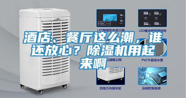 酒店、餐廳這么潮，誰還放心？除濕機用起來啊