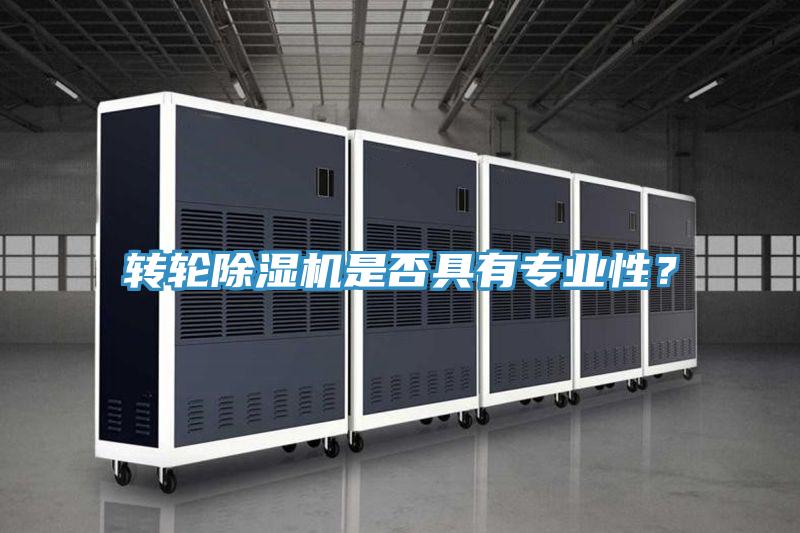 轉(zhuǎn)輪除濕機(jī)是否具有專業(yè)性？