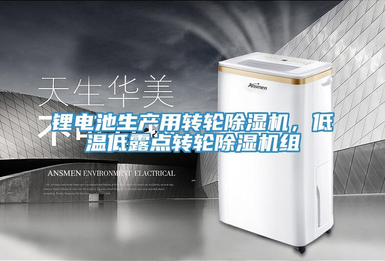 鋰電池生產(chǎn)用轉(zhuǎn)輪除濕機(jī)，低溫低露點(diǎn)轉(zhuǎn)輪除濕機(jī)組