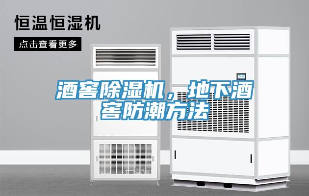 酒窖除濕機(jī)，地下酒窖防潮方法