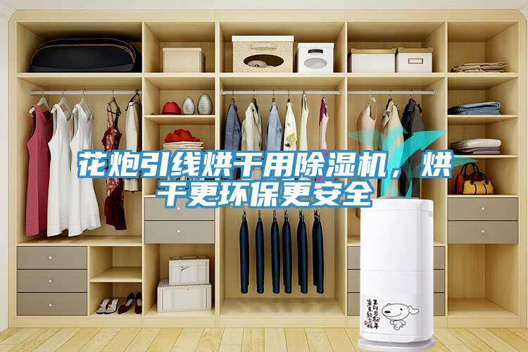 花炮引線烘干用除濕機(jī)，烘干更環(huán)保更安全