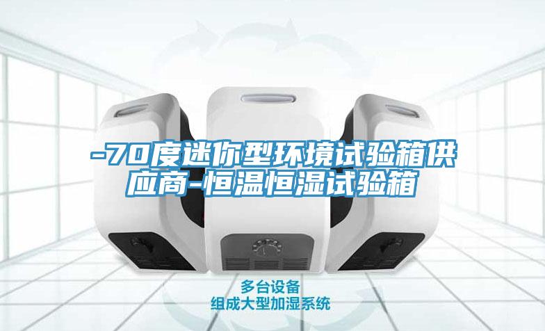 -70度迷你型環(huán)境試驗(yàn)箱供應(yīng)商-恒溫恒濕試驗(yàn)箱