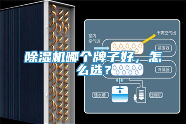 除濕機哪個牌子好，怎么選？