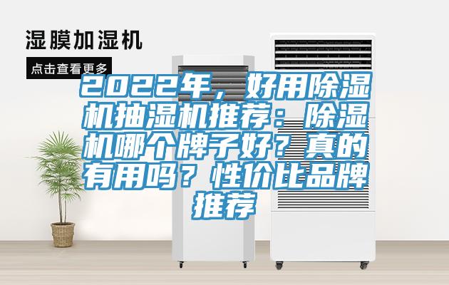 2022年，好用除濕機抽濕機推薦：除濕機哪個牌子好？真的有用嗎？性價比品牌推薦
