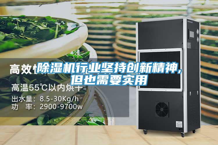 除濕機(jī)行業(yè)堅(jiān)持創(chuàng)新精神,但也需要實(shí)用