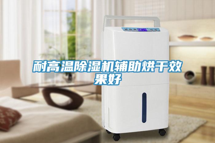 耐高溫除濕機輔助烘干效果好
