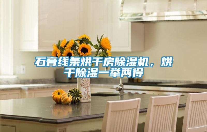 石膏線條烘干房除濕機(jī)，烘干除濕一舉兩得