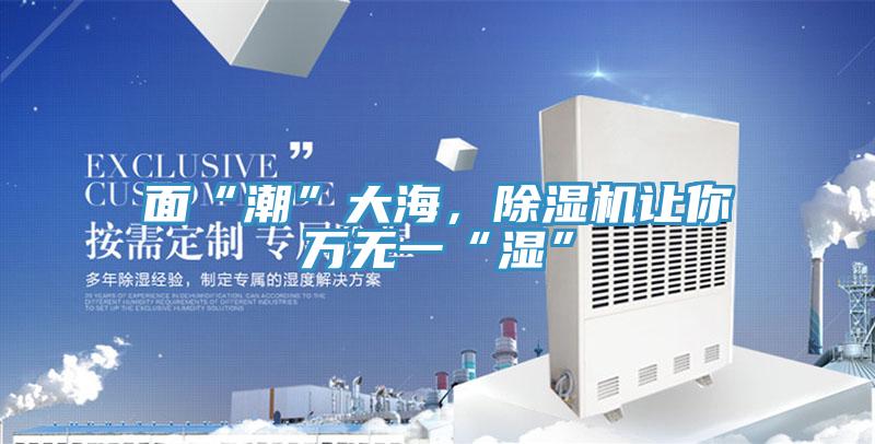 面“潮”大海，除濕機讓你萬無一“濕”