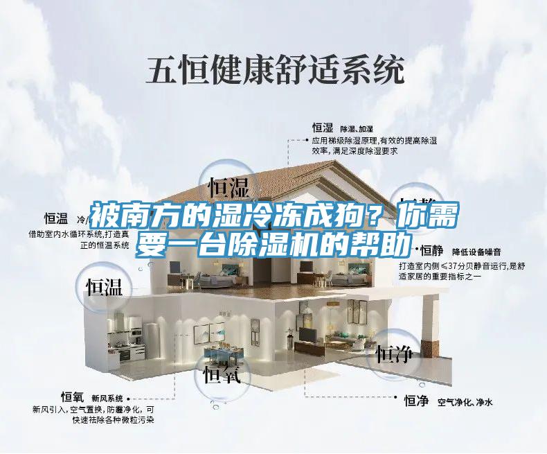 被南方的濕冷凍成狗？你需要一臺除濕機的幫助