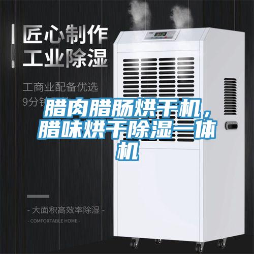 臘肉臘腸烘干機，臘味烘干除濕一體機