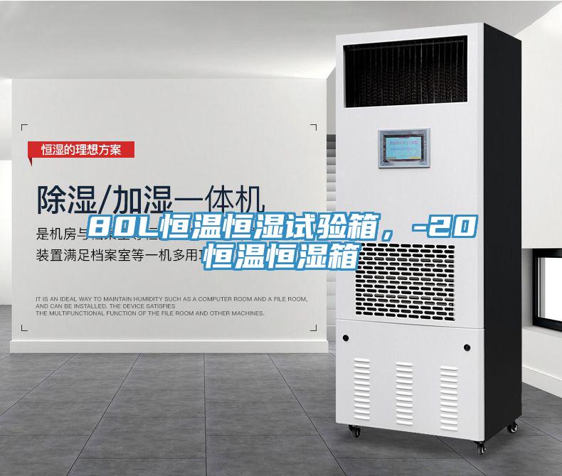 80L恒溫恒濕試驗(yàn)箱，-20℃恒溫恒濕箱
