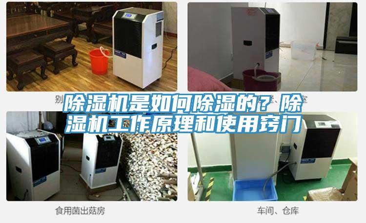 除濕機是如何除濕的？除濕機工作原理和使用竅門