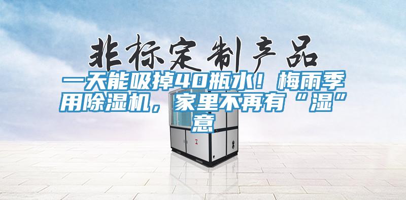 一天能吸掉40瓶水！梅雨季用除濕機，家里不再有“濕”意