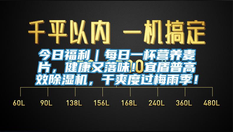 今日福利｜每日一杯營養(yǎng)麥片，健康又落味！宜盾普高效除濕機，干爽度過梅雨季！