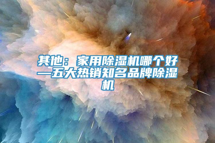 其他：家用除濕機哪個好—五大熱銷知名品牌除濕機