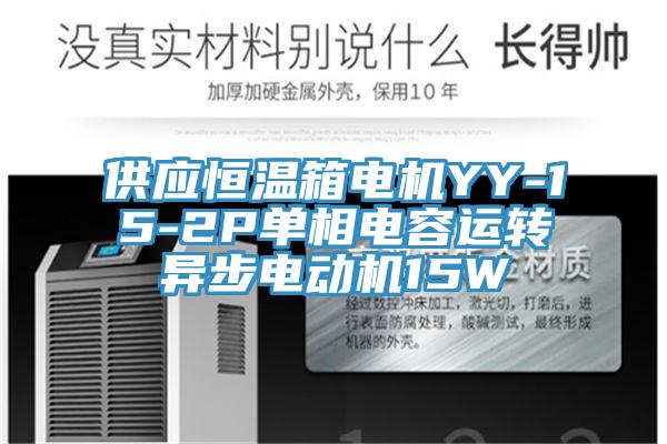 供應(yīng)恒溫箱電機(jī)YY-15-2P單相電容運(yùn)轉(zhuǎn)異步電動(dòng)機(jī)15W