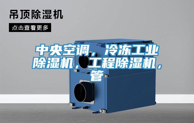 中央空調(diào)，冷凍工業(yè)除濕機，工程除濕機，管