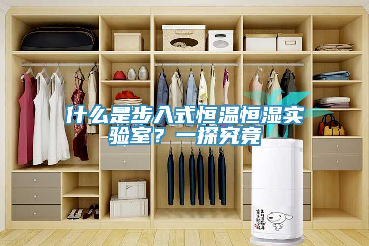 什么是步入式恒溫恒濕實(shí)驗(yàn)室？一探究竟