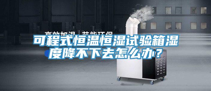 可程式恒溫恒濕試驗箱濕度降不下去怎么辦？