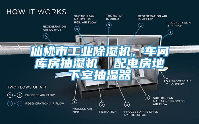 仙桃市工業(yè)除濕機(jī)，車間庫(kù)房抽濕機(jī)  配電房地下室抽濕器