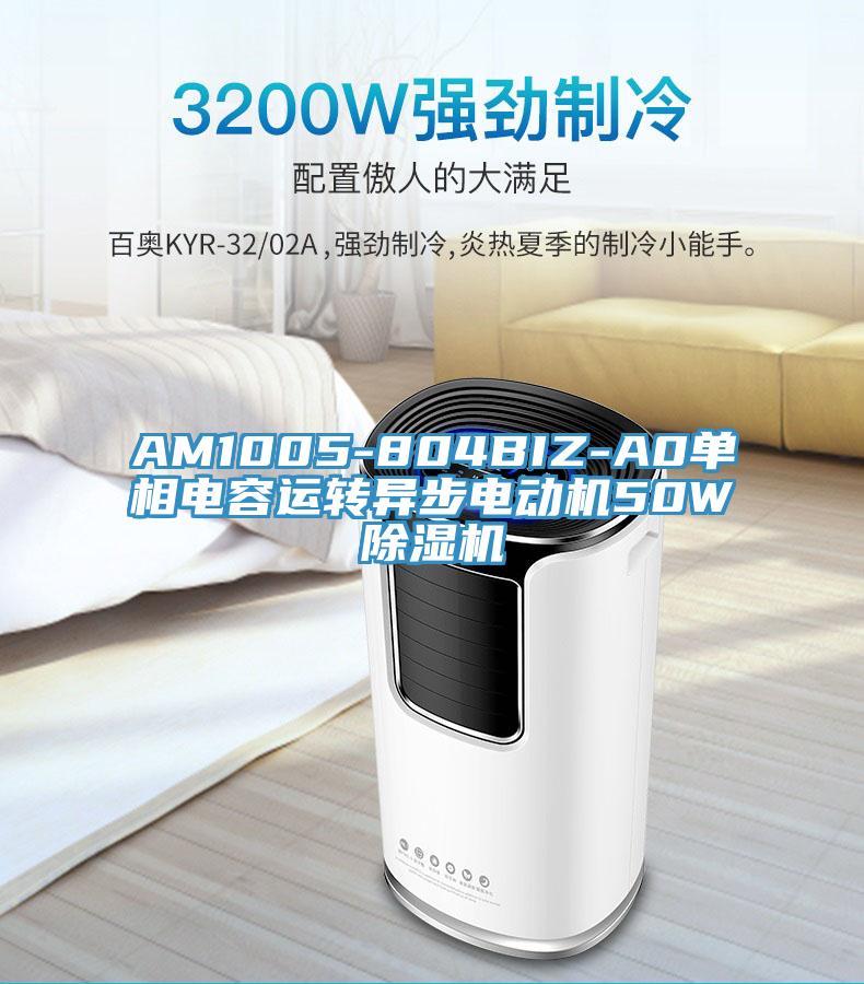 AM1005-804BIZ-A0單相電容運轉異步電動機50W除濕機