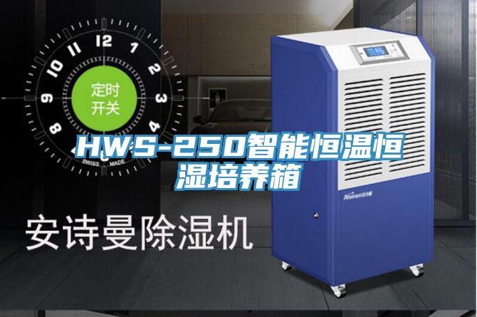 HWS-250智能恒溫恒濕培養(yǎng)箱