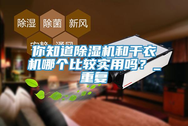 你知道除濕機(jī)和干衣機(jī)哪個(gè)比較實(shí)用嗎？_重復(fù)