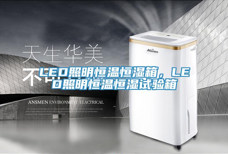 LED照明恒溫恒濕箱，LED照明恒溫恒濕試驗箱