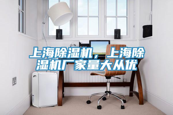 上海除濕機(jī)，上海除濕機(jī)廠家量大從優(yōu)