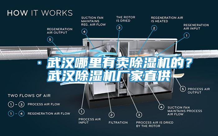 ·武漢哪里有賣除濕機(jī)的？武漢除濕機(jī)廠家直供
