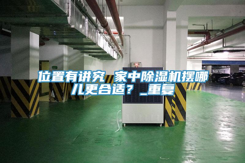 位置有講究 家中除濕機擺哪兒更合適？_重復(fù)