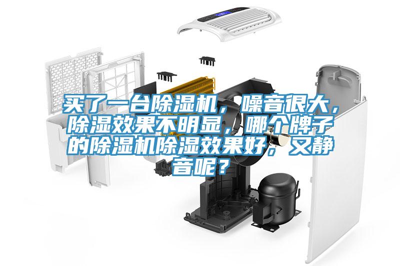 買了一臺除濕機，噪音很大，除濕效果不明顯，哪個牌子的除濕機除濕效果好，又靜音呢？