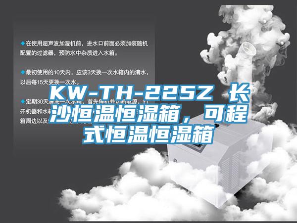 KW-TH-225Z 長沙恒溫恒濕箱，可程式恒溫恒濕箱