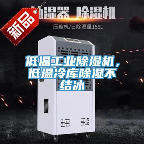 低溫工業(yè)除濕機(jī)，低溫冷庫除濕不結(jié)冰