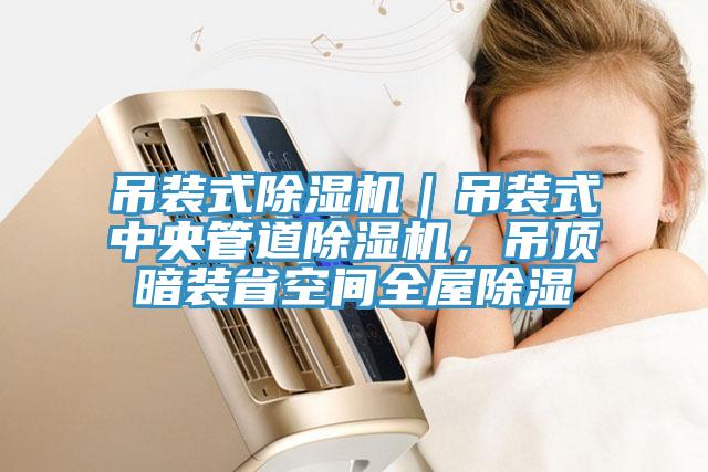 吊裝式除濕機｜吊裝式中央管道除濕機，吊頂暗裝省空間全屋除濕