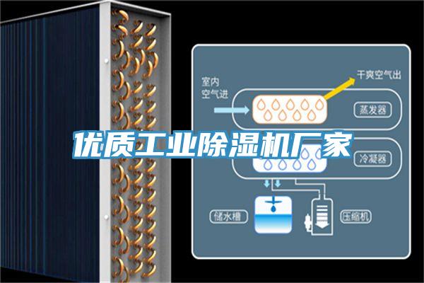優(yōu)質工業(yè)除濕機廠家