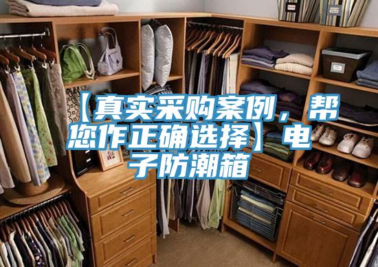 【真實采購案例，幫您作正確選擇】電子防潮箱